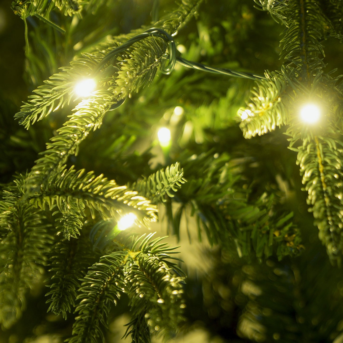 christabelle-1-2m-prelit-everglow-fir-christmas-tree-with-150-led-lights www.mallsonline.com.au