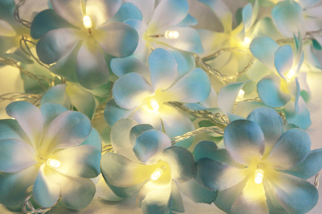 1-set-of-20-led-tropical-blue-frangipani-flower-battery-3m-string-lights-christmas-gift-home-wedding-beach-party-decoration-outdoor-table-centrepiece www.mallsonline.com.au