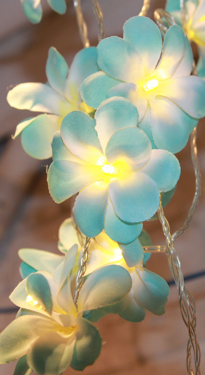 1-set-of-50-led-tropical-blue-frangipani-flower-battery-5m-long-string-lights-christmas-gift-home-wedding-beach-party-decoration-outdoor-table-centrepiece www.mallsonline.com.au