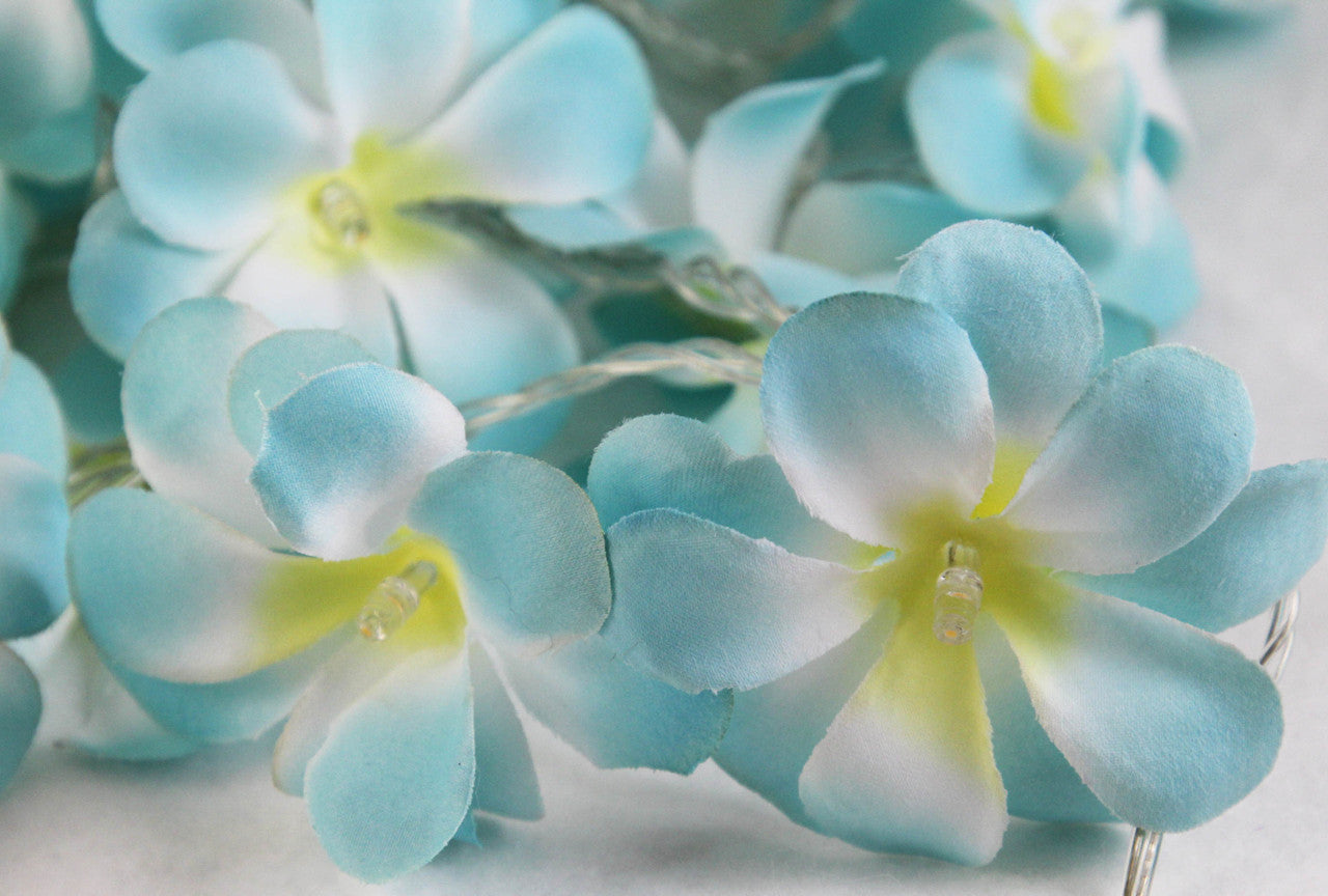 1-set-of-50-led-tropical-blue-frangipani-flower-battery-5m-long-string-lights-christmas-gift-home-wedding-beach-party-decoration-outdoor-table-centrepiece www.mallsonline.com.au