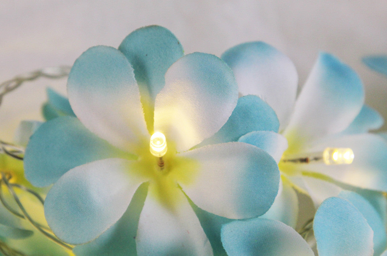 1-set-of-50-led-tropical-blue-frangipani-flower-battery-5m-long-string-lights-christmas-gift-home-wedding-beach-party-decoration-outdoor-table-centrepiece www.mallsonline.com.au
