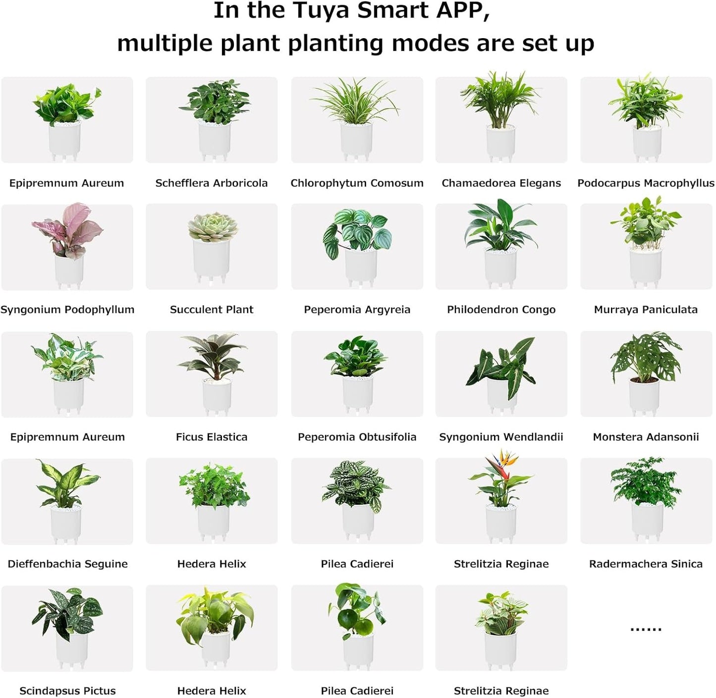 Intelligent Flower Pot, Electronic Bud, Maintenance Plant Assistant, Fun Interactive Flower Pot, Indoor Green Planting Monitoring, LCD Screen Display, Cell Phone APP Connection (Pink)