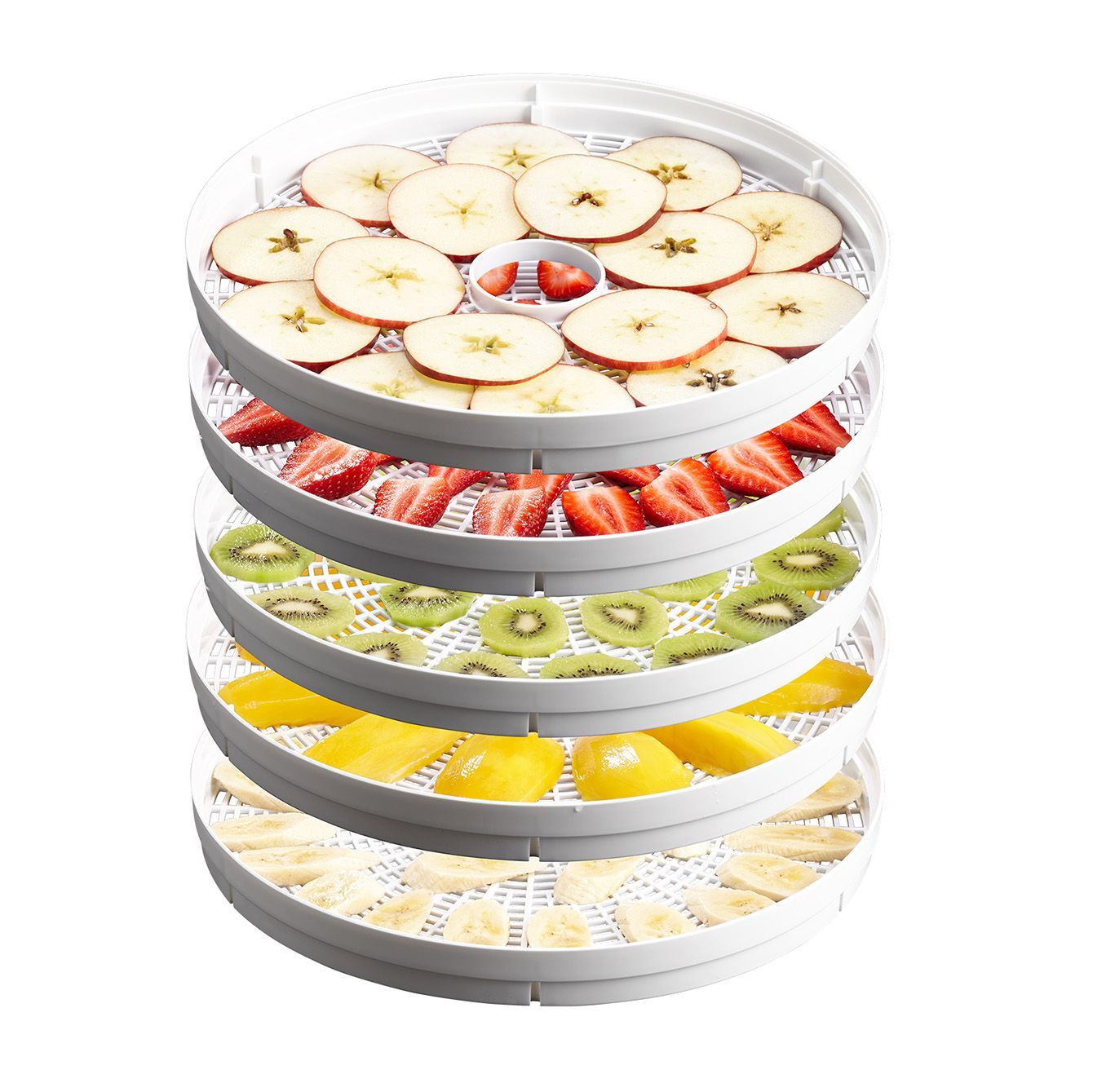 sunbeam-dt5600-food-dehydrator-5-stackable-drying-racks-with-fruit-roll-tray