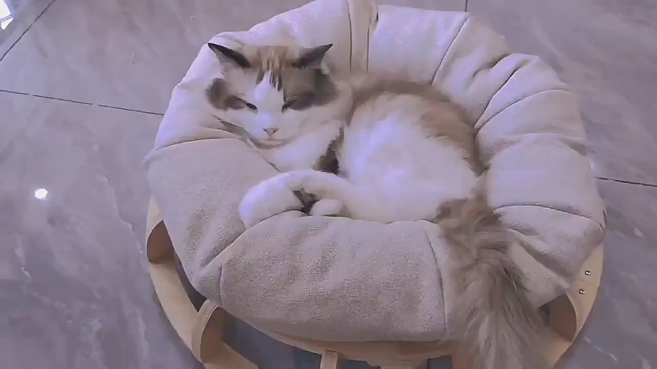 timber-gyro-cat-nest-bed www.mallsonline.com.au