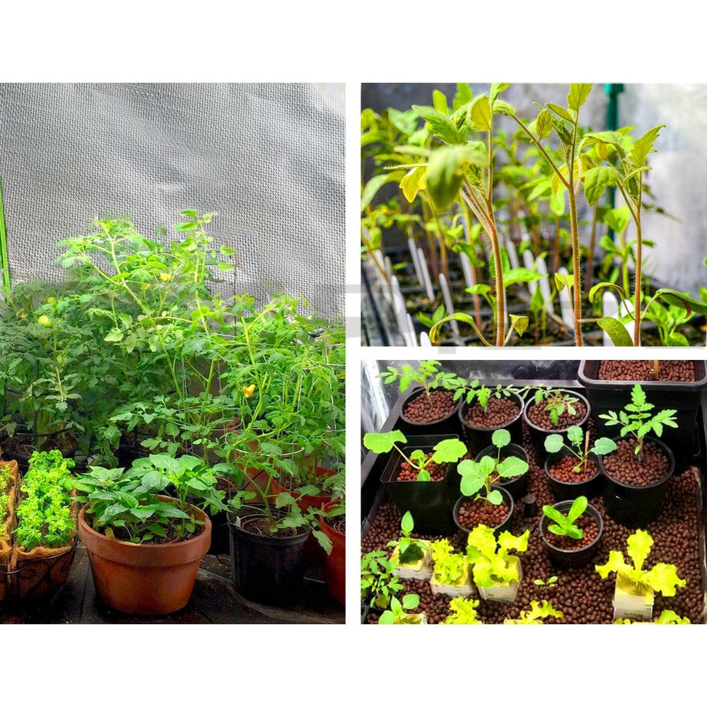 greenfingers-hydroponics-grow-tent-kits-hydroponic-grow-system-black-60x60x90cm-600d-oxford www.mallsonline.com.au