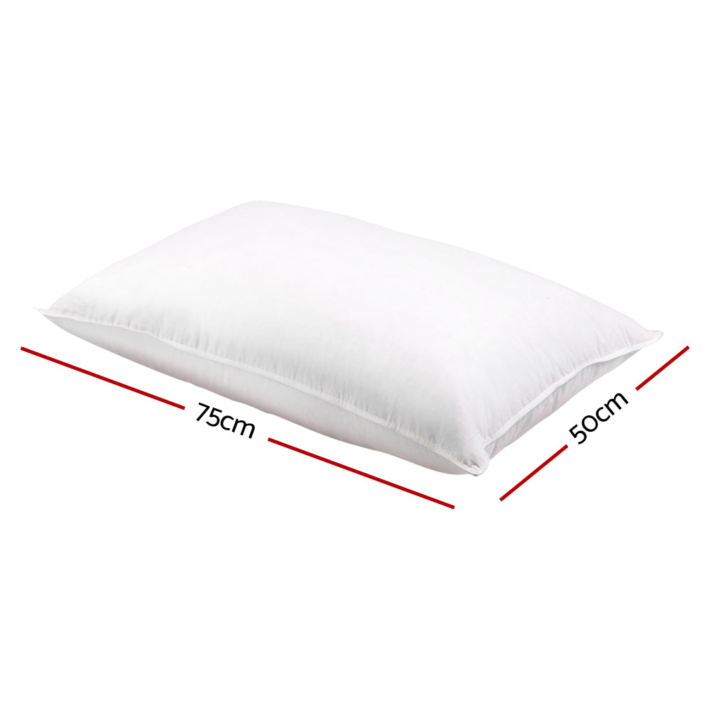 giselle-bedding-set-of-2-duck-down-pillow-white at www.mallsonline.com.au