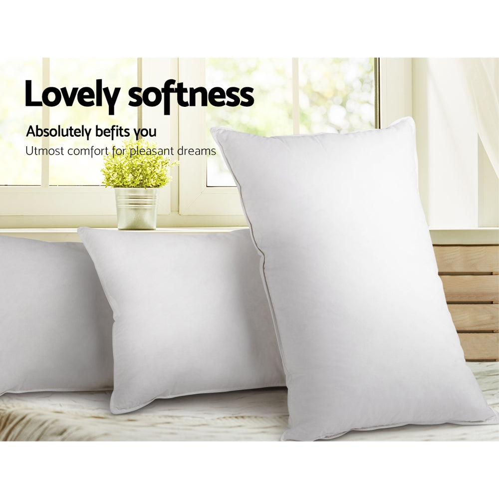 giselle-bedding-set-of-2-duck-down-pillow-white at www.mallsonline.com.au