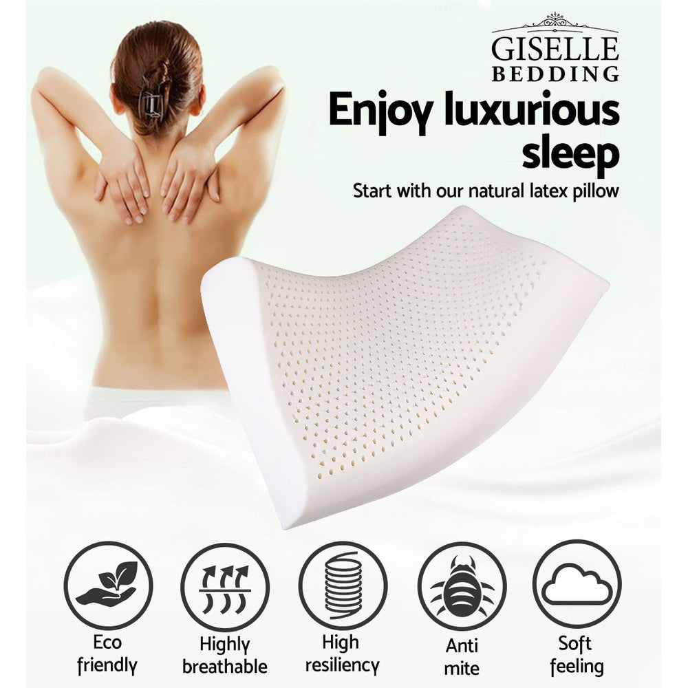 giselle-latex-pillow-contour-latex-pillows-set-of-2 at www.mallsonline.com.au