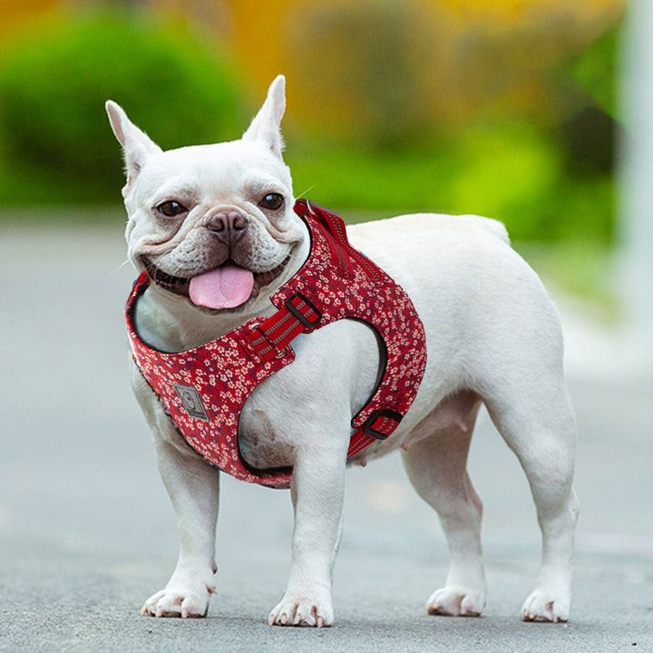 floral-doggy-harness-red-2xs www.mallsonline.com.au