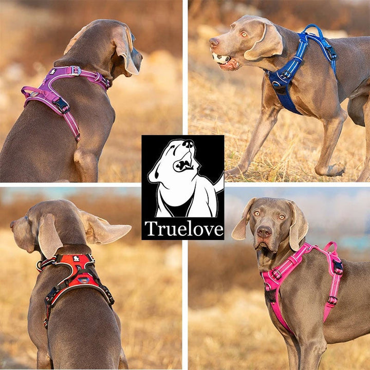 no-pull-harness-black-xl www.mallsonline.com.au