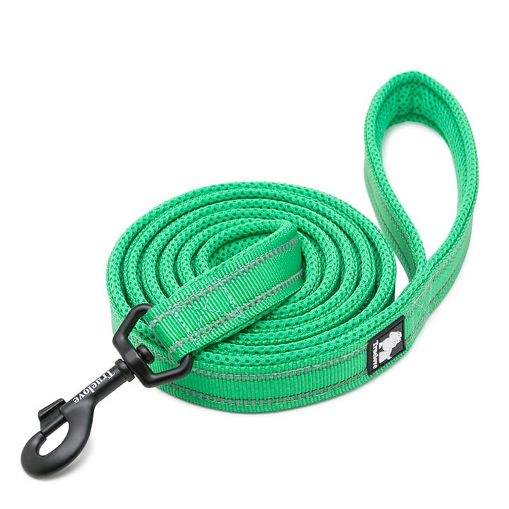 reflective-pet-leash-2-meters-green-xs www.mallsonline.com.au