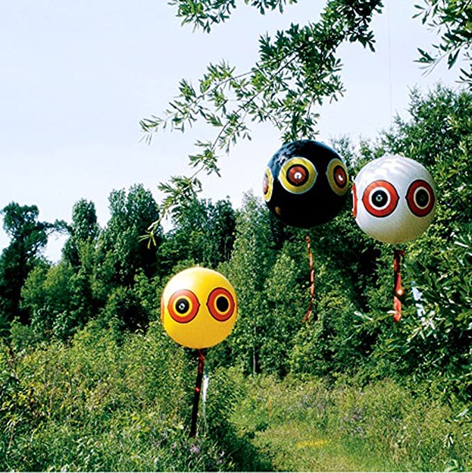 bird-repellent-predator-eyes-balloons-pack-of-3 www.mallsonline.com.au
