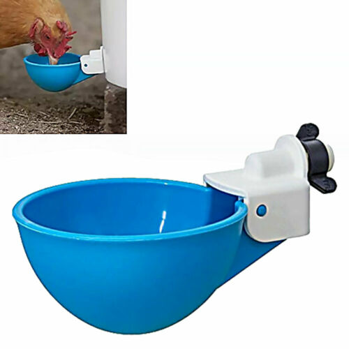cheeky-chooka-diy-poultry-drinker-cups-4pk www.mallsonline.com.au