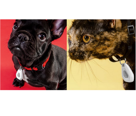 mitey-tick-off-for-pets-electronic-tick-repeller www.mallsonline.com.au