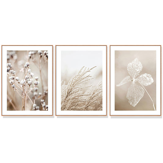 40cmx60cm-dried-flower-3-sets-wood-frame-canvas-wall-art www.mallsonline.com.au