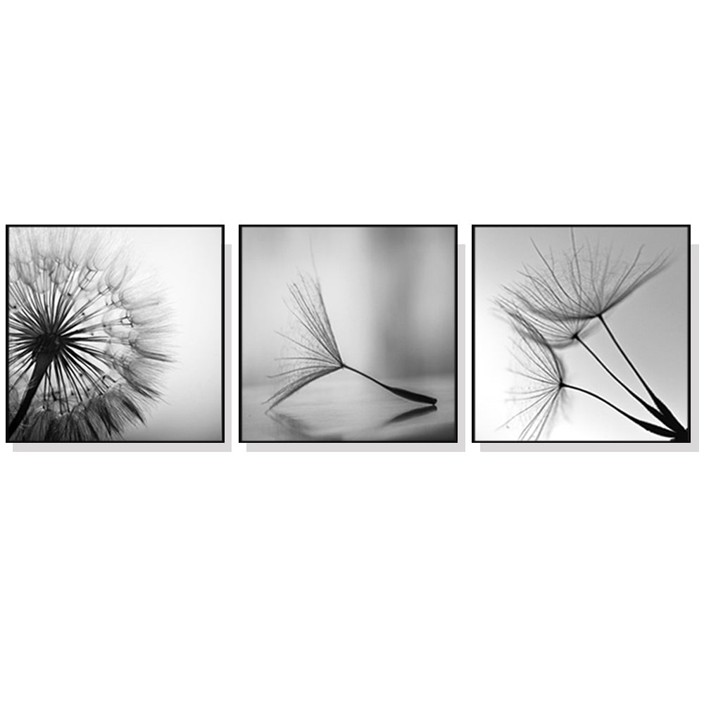 60cmx60cm-botanical-dandelions-3-sets-black-frame-canvas-wall-art www.mallsonline.com.au