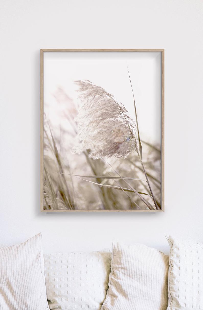 40cmx60cm-pampas-grass-2-sets-wood-frame-canvas-wall-art www.mallsonline.com.au