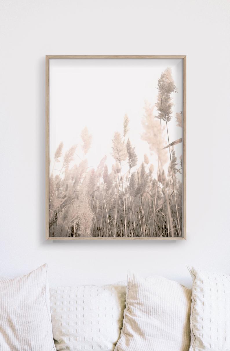 40cmx60cm-pampas-grass-2-sets-wood-frame-canvas-wall-art www.mallsonline.com.au