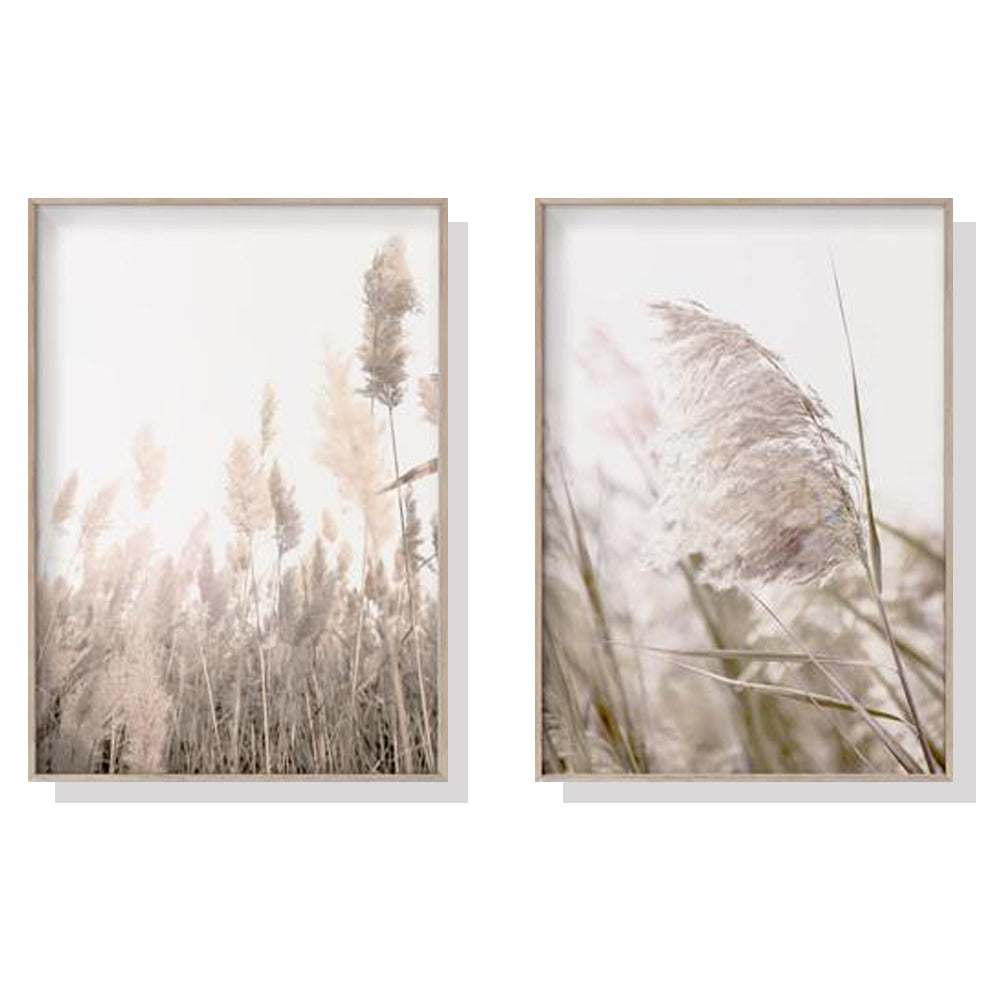 40cmx60cm-pampas-grass-2-sets-wood-frame-canvas-wall-art www.mallsonline.com.au