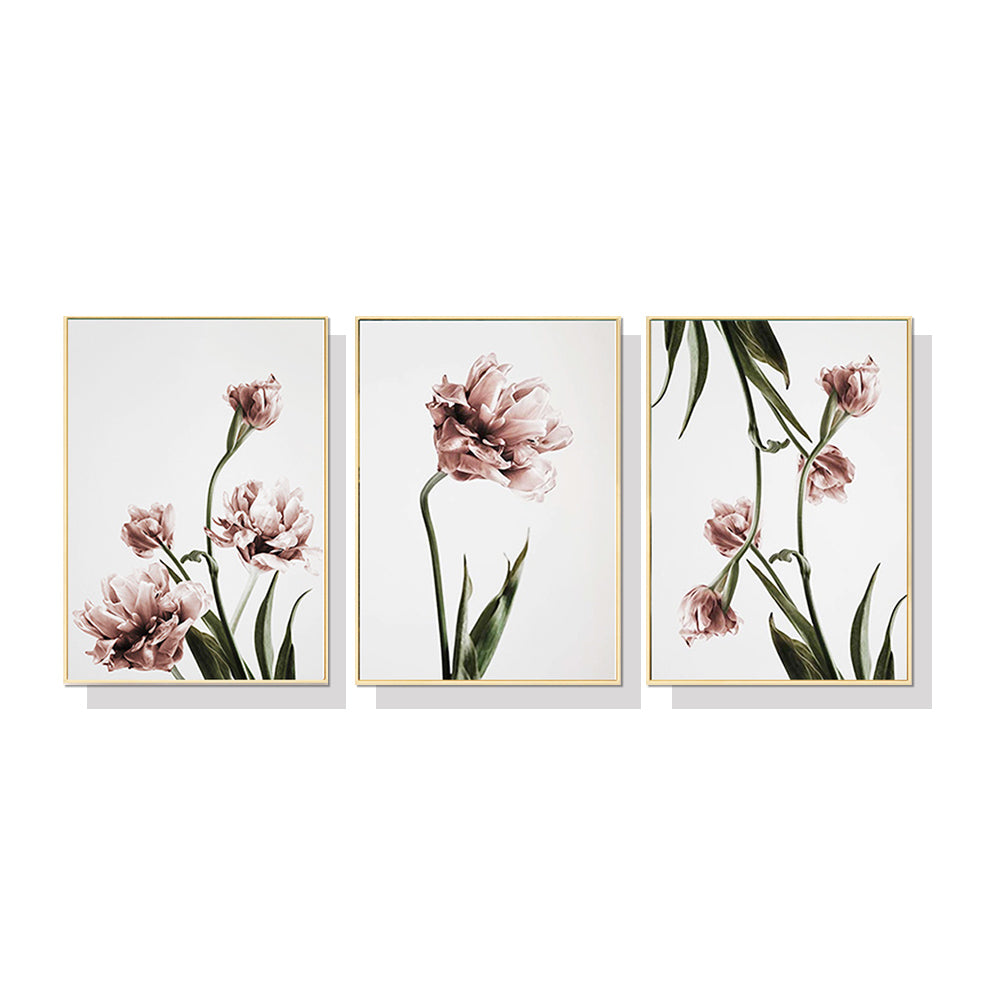 50cmx70cm-tulip-flower-3-sets-gold-frame-canvas-wall-art www.mallsonline.com.au