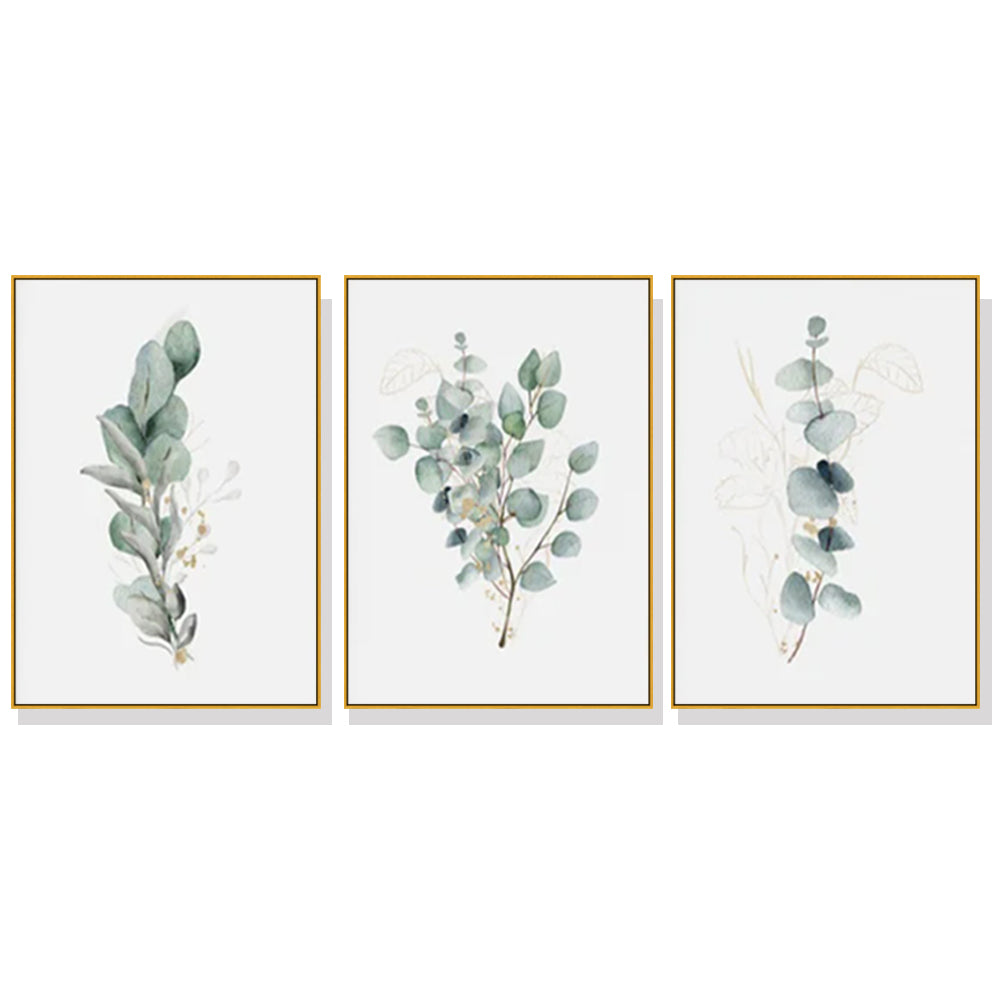 40cmx60cm-eucalyptus-plant-3-sets-gold-frame-canvas-wall-art at www.mallsonline.com.au