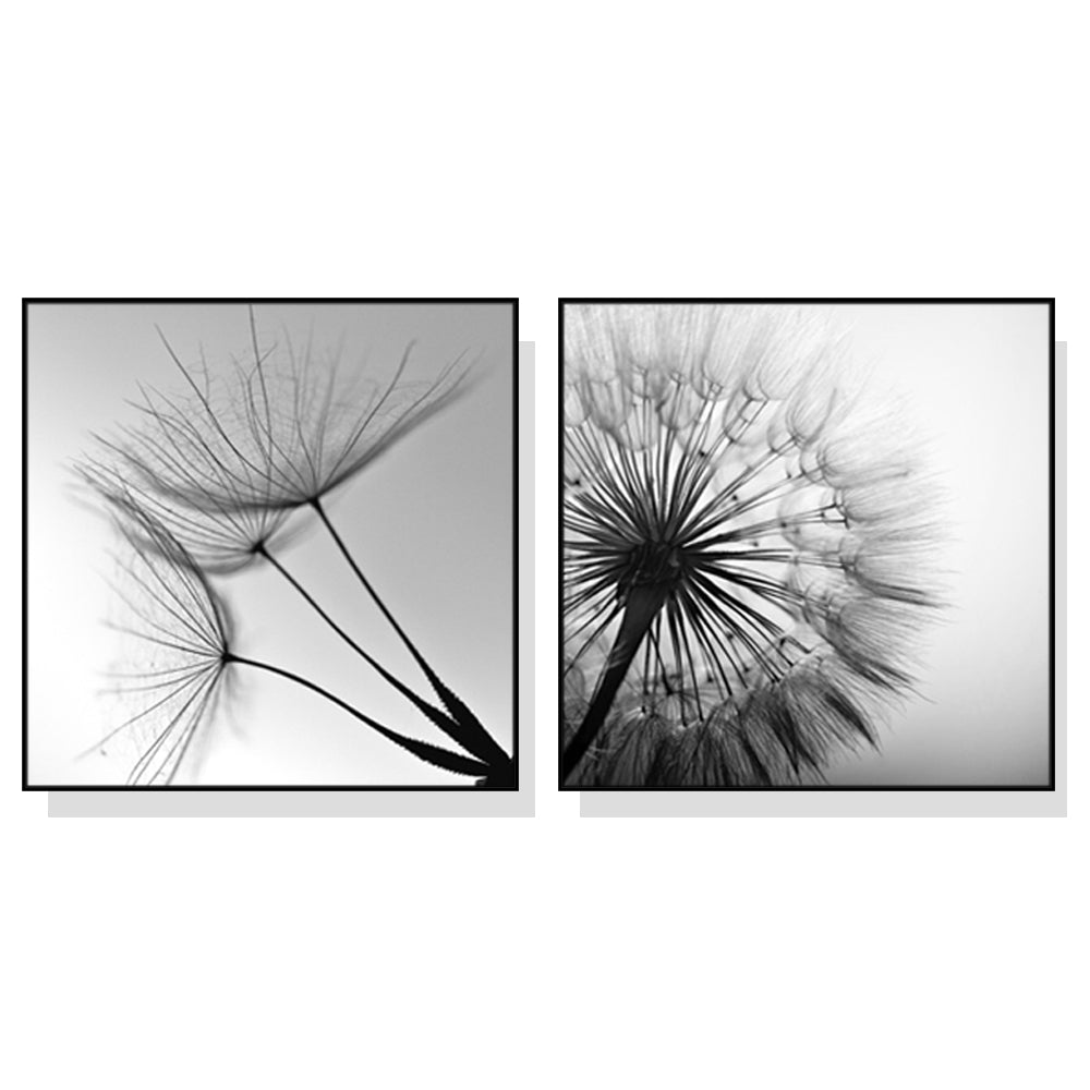 60cmx60cm-black-and-white-dandelion-2-sets-black-frame-canvas-wall-art www.mallsonline.com.au