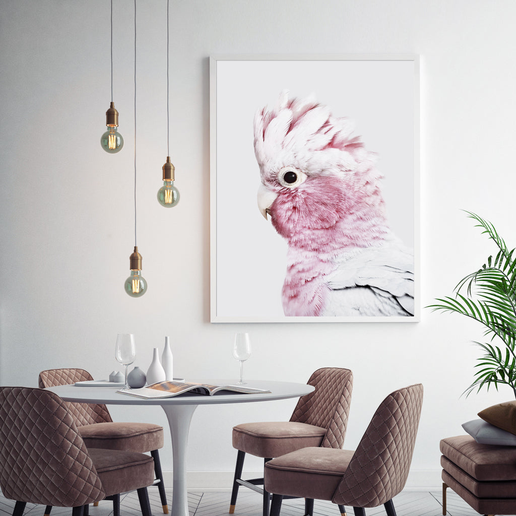 50cmx70cm-pink-galah-white-frame-canvas-wall-art www.mallsonline.com.au