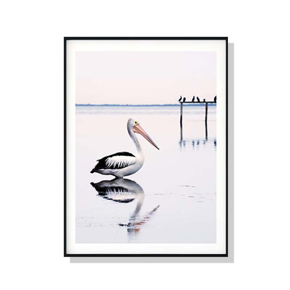 80cmx120cm-pelican-black-frame-canvas-wall-art www.mallsonline.com.au