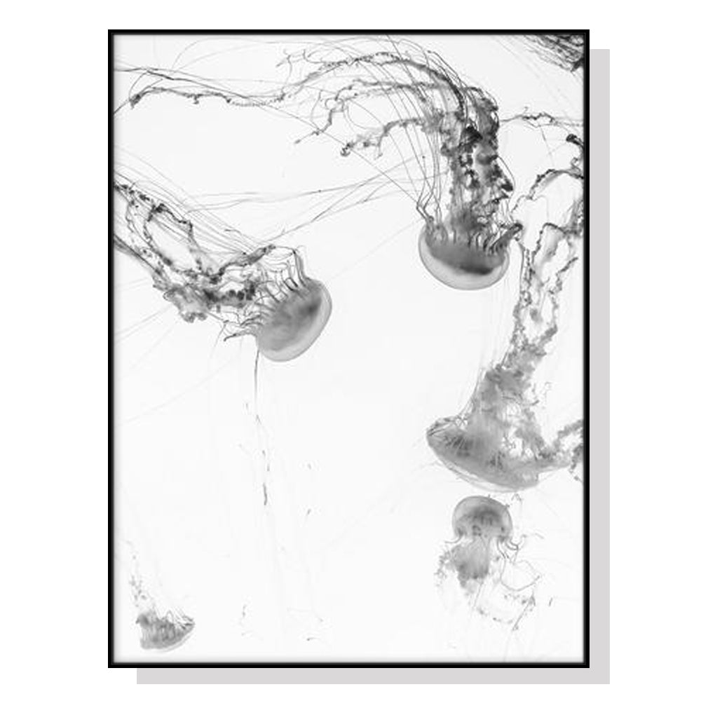 50cmx70cm-jellyfish-black-frame-canvas-wall-art www.mallsonline.com.au