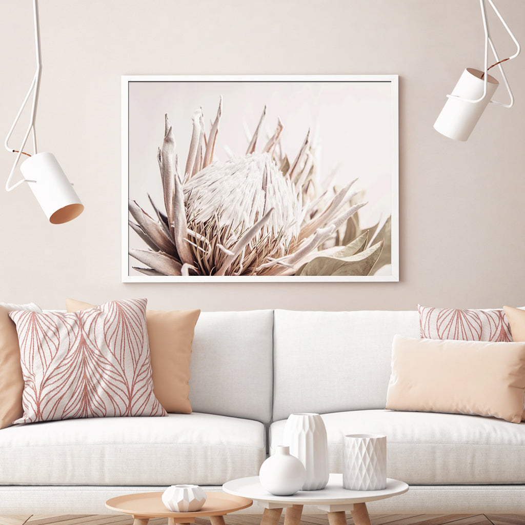 50cmx70cm-pure-protea-ii-white-frame-canvas-wall-art www.mallsonline.com.au