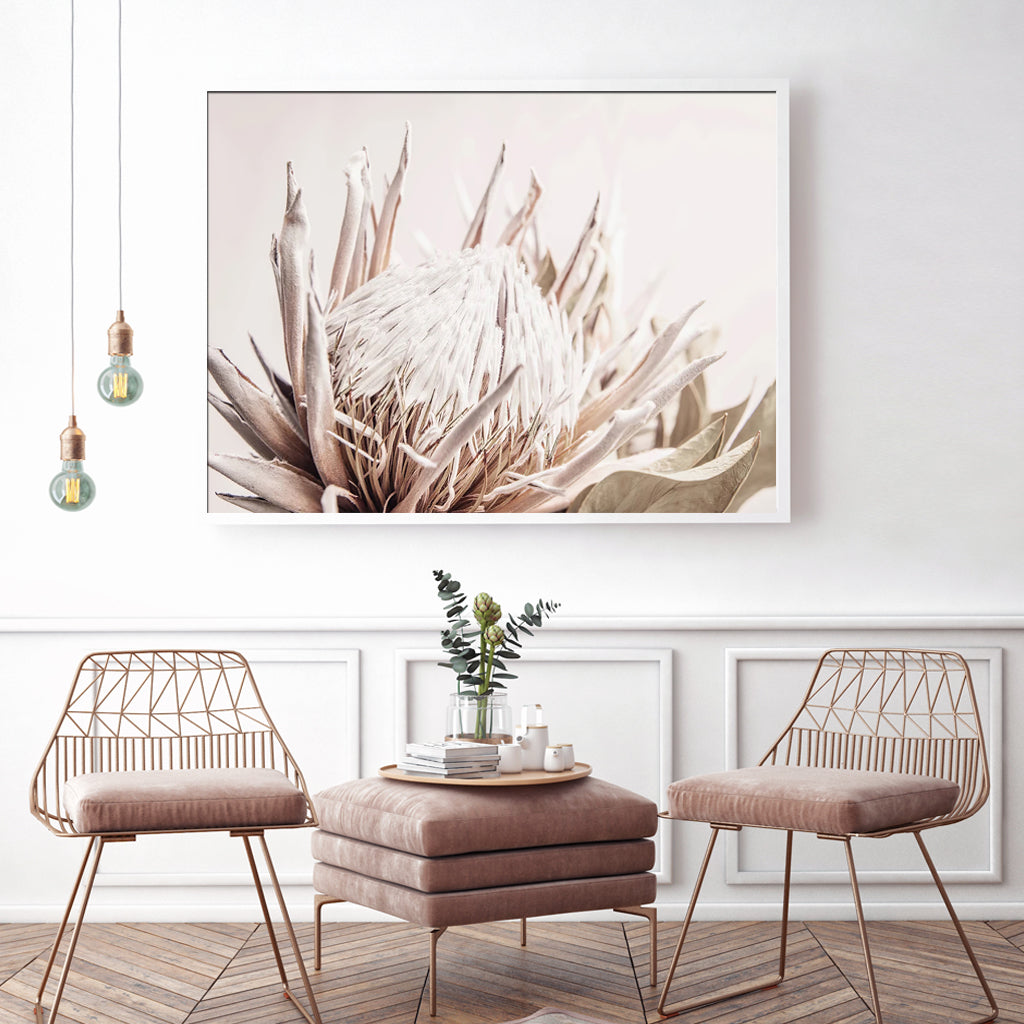 70cmx100cm-pure-protea-ii-white-frame-canvas-wall-art www.mallsonline.com.au