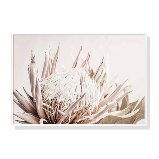 80cmx120cm-pure-protea-ii-white-frame-canvas-wall-art www.mallsonline.com.au