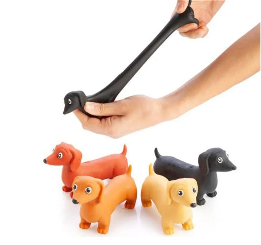 novelty-stretch-dachshund-sausage-dog-toy-selected-at-random at www.mallsonline.com.au