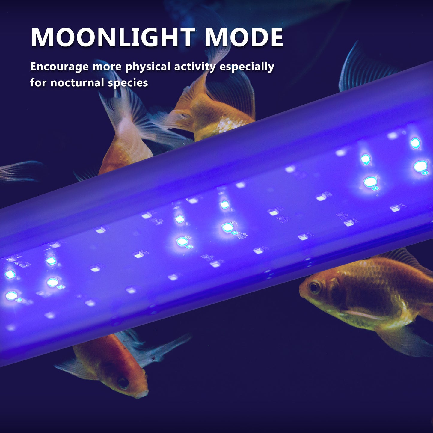 dynamic-power-2-set-18w-aquarium-blue-white-led-light-for-tank-75-95cm www.mallsonline.com.au