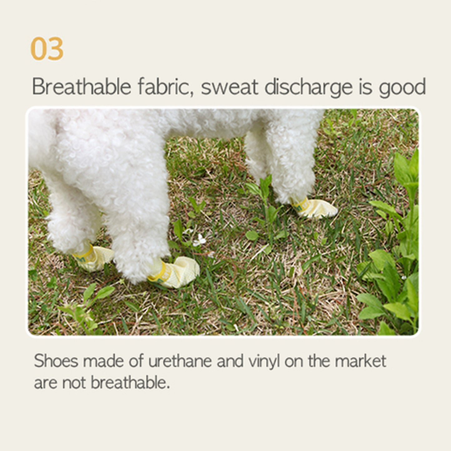 daeng-daeng-shoes-28pc-l-violet-dog-shoes-waterproof-disposable-boots-anti-slip-socks at www.mallsonline.com.au
