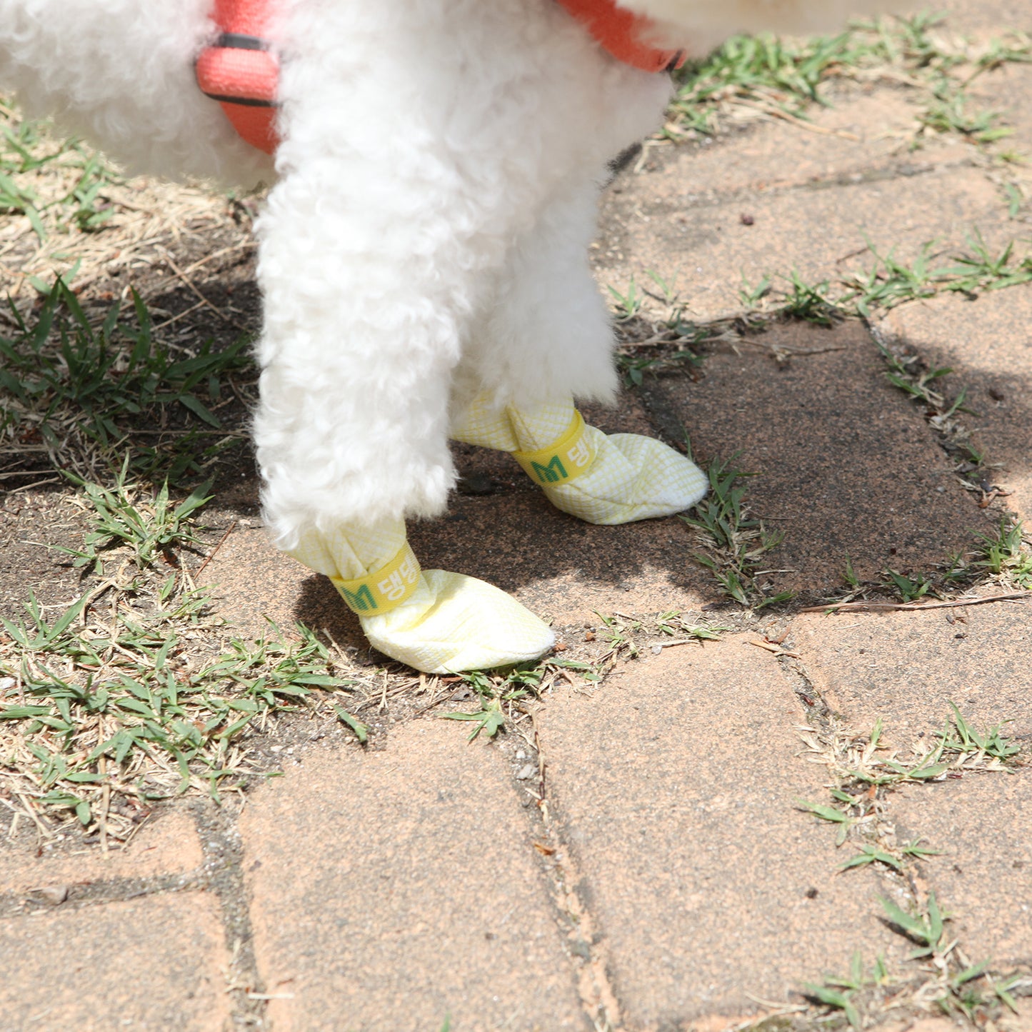 daeng-daeng-shoes-28pc-m-blue-dog-shoes-waterproof-disposable-boots-anti-slip-socks www.mallsonline.com.au