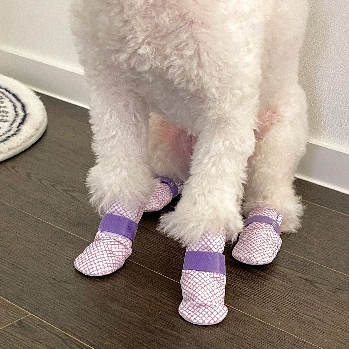 daeng-daeng-shoes-28pc-s-violet-dog-shoes-waterproof-disposable-boots-anti-slip-socks www.mallsonline.com.au