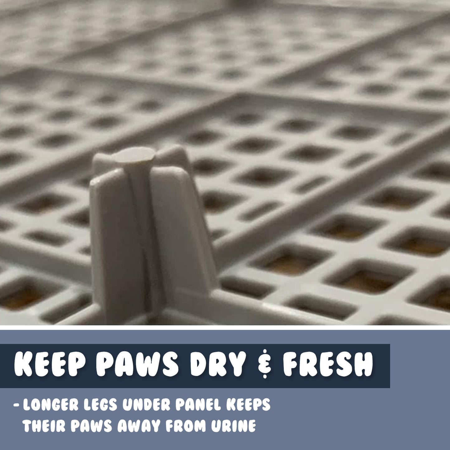 ps-korea-blue-dog-pet-potty-tray-training-toilet-raised-walls-t1 www.mallsonline.com.au