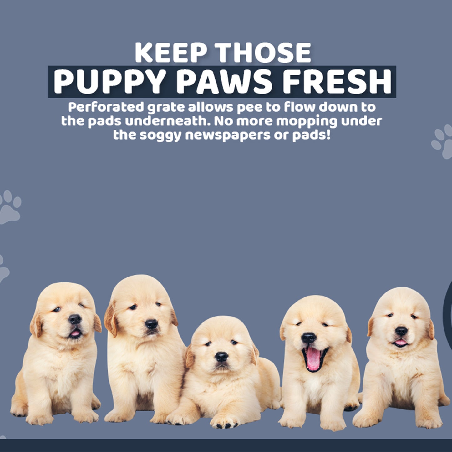 ps-korea-blue-dog-pet-potty-tray-training-toilet-raised-walls-t1 www.mallsonline.com.au
