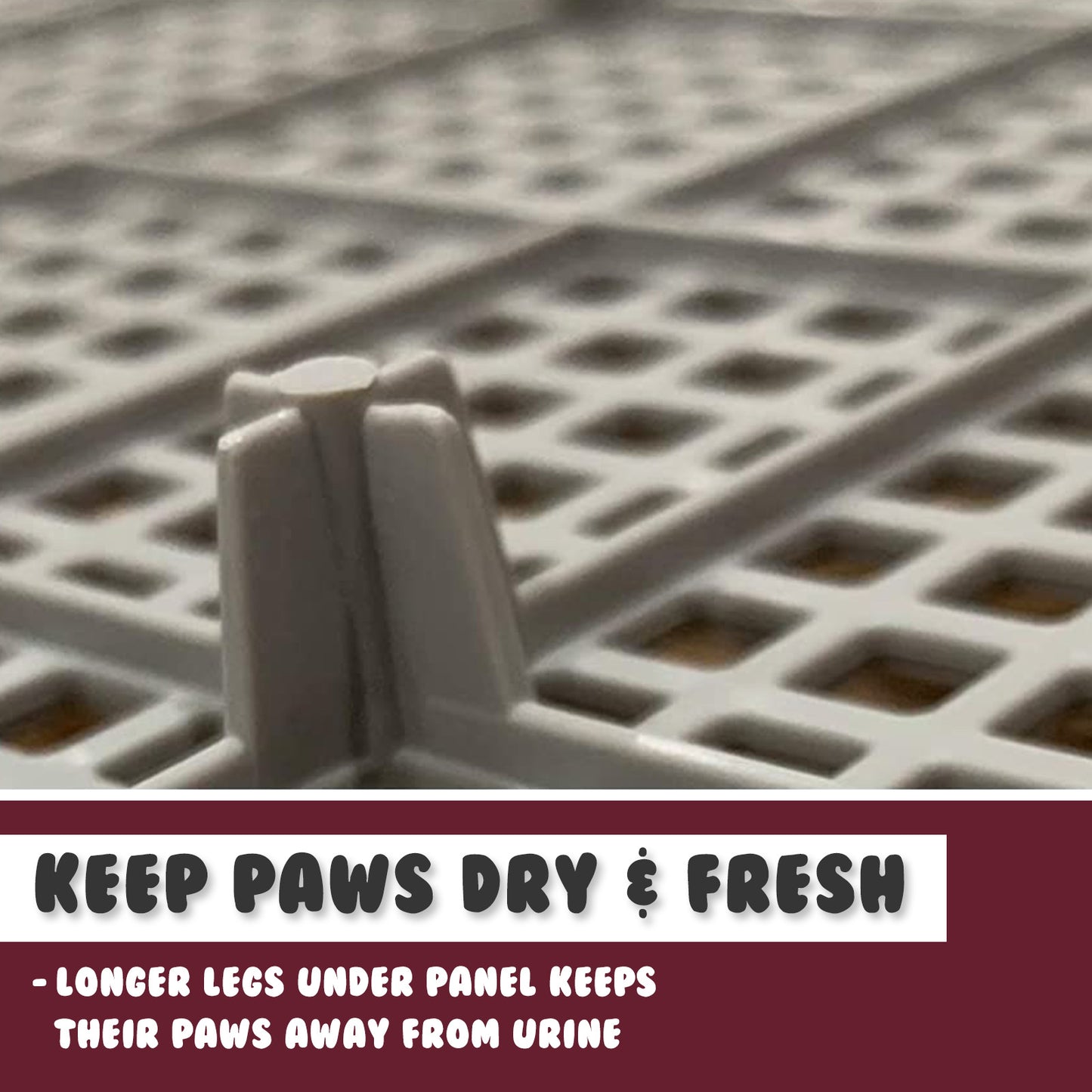 ps-korea-wine-dog-pet-potty-tray-training-toilet-raised-walls-t1 www.mallsonline.com.au
