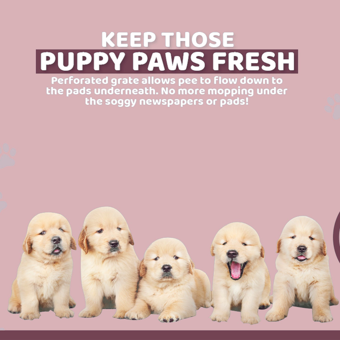 ps-korea-wine-dog-pet-potty-tray-training-toilet-raised-walls-t1 www.mallsonline.com.au