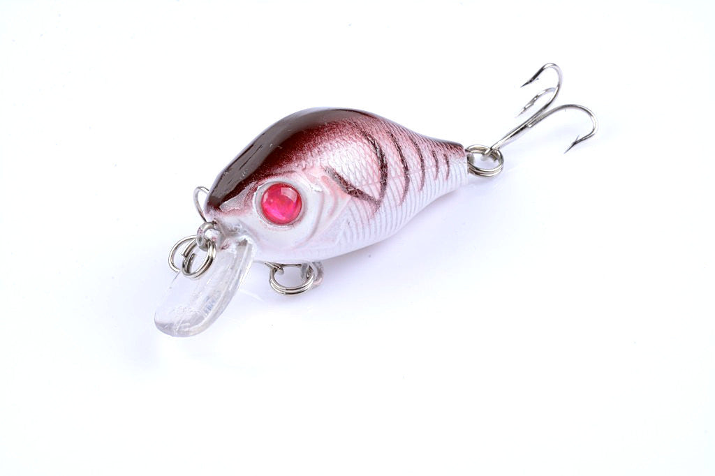 5x-5-5cm-popper-crank-bait-fishing-lure-lures-surface-tackle-saltwater www.mallsonline.com.au
