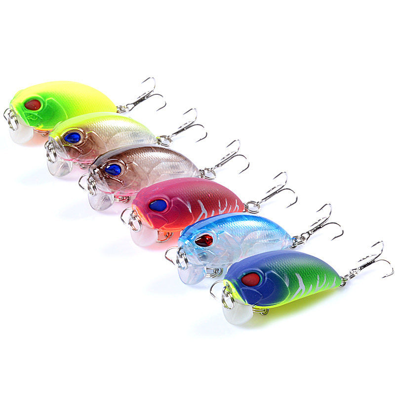 6x-popper-crank-5-1cm-fishing-lure-lures-surface-tackle-fresh-saltwater www.mallsonline.com.au