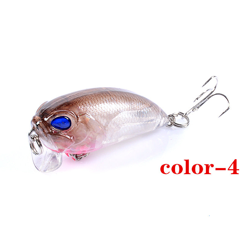 6x-popper-crank-5-1cm-fishing-lure-lures-surface-tackle-fresh-saltwater www.mallsonline.com.au