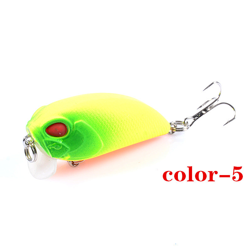 6x-popper-crank-5-1cm-fishing-lure-lures-surface-tackle-fresh-saltwater www.mallsonline.com.au