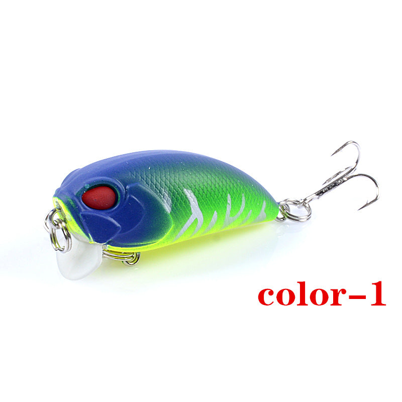 6x-popper-crank-5-1cm-fishing-lure-lures-surface-tackle-fresh-saltwater www.mallsonline.com.au