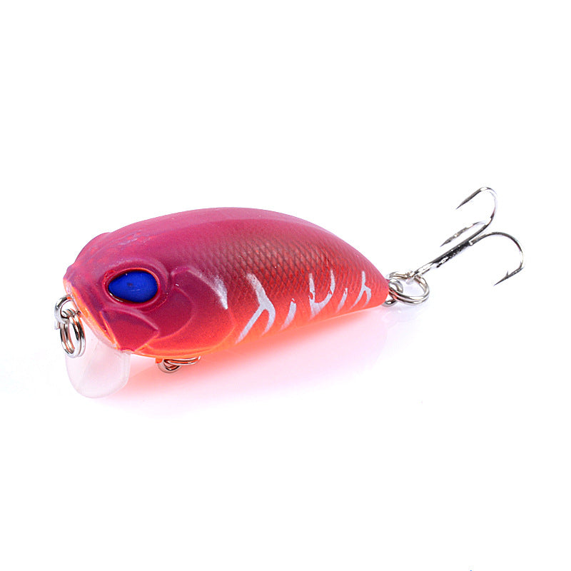 6x-popper-crank-5-1cm-fishing-lure-lures-surface-tackle-fresh-saltwater www.mallsonline.com.au