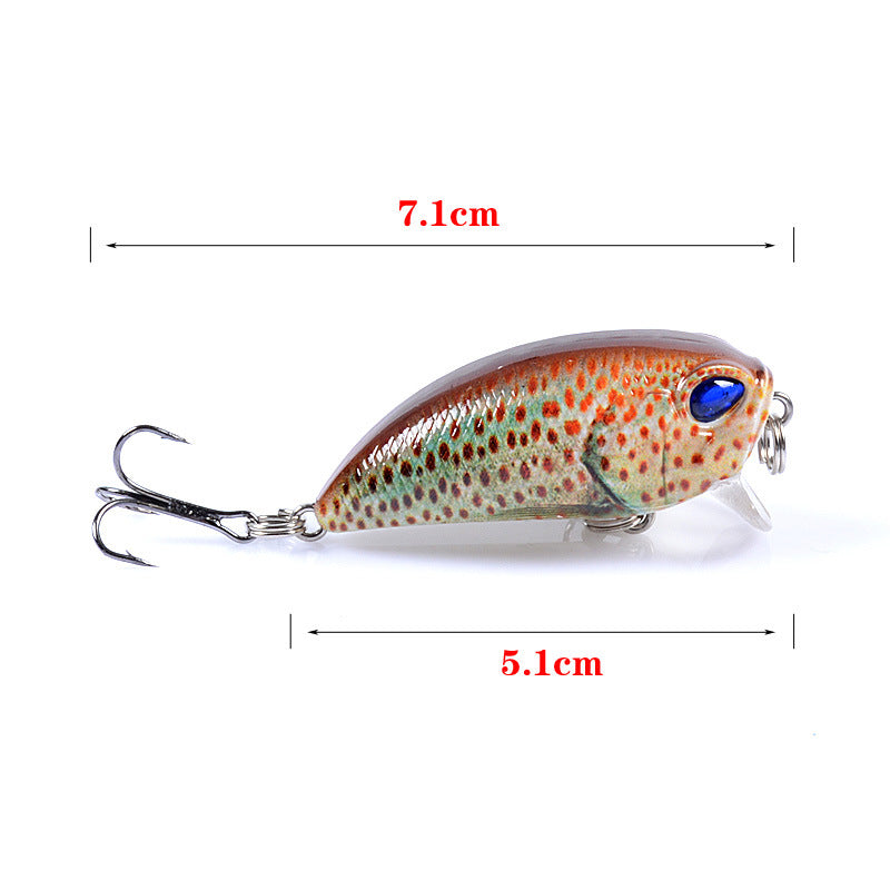 6x-popper-poppers-5-1cm-fishing-lure-lures-surface-tackle-fresh-saltwater www.mallsonline.com.au