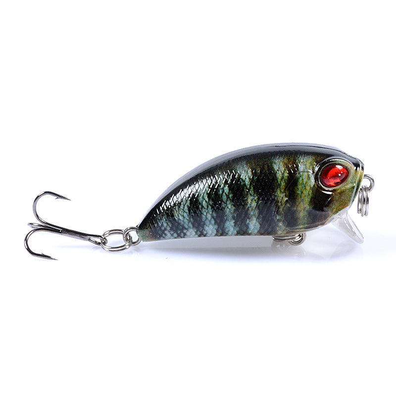 6x-popper-poppers-5-1cm-fishing-lure-lures-surface-tackle-fresh-saltwater www.mallsonline.com.au