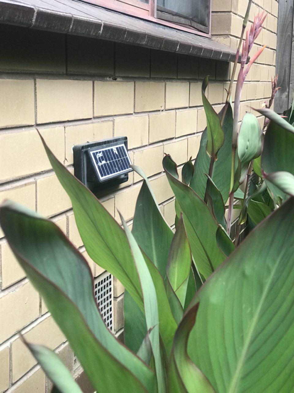 solar-step-lights www.mallsonline.com.au